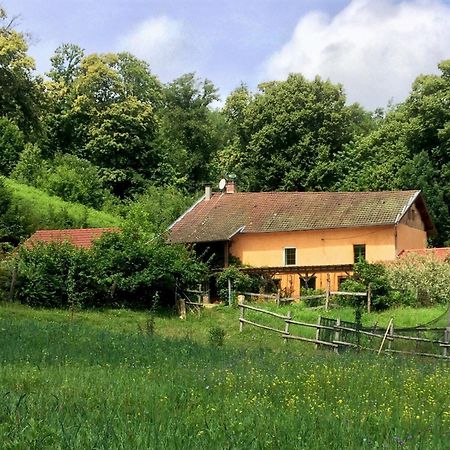 Le Mas De Planaise Saint-Jean-d'Avelanne 外观 照片
